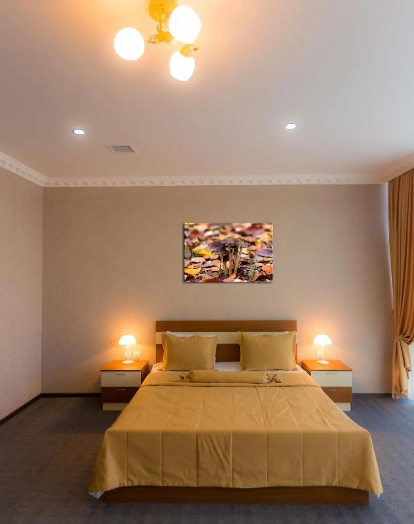 Afina Hotel Baku Ázerbájdžán
